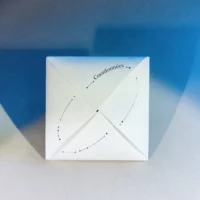 Poème origami Coordonnées Recto