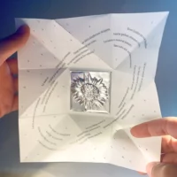Poème origami La battue