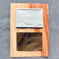 Pochette et fragment "La forêt de poche"