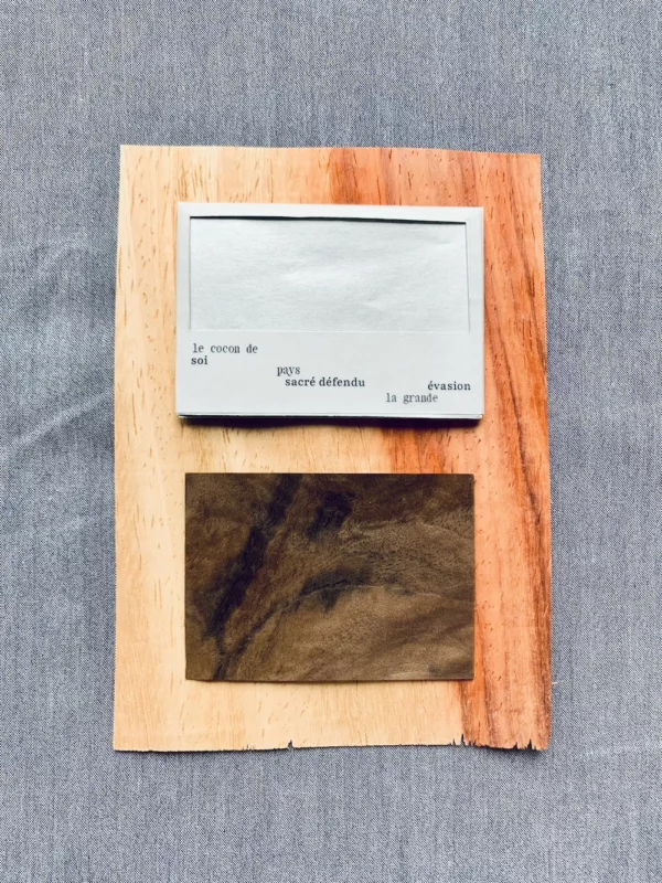 Pochette et fragment "La forêt de poche"