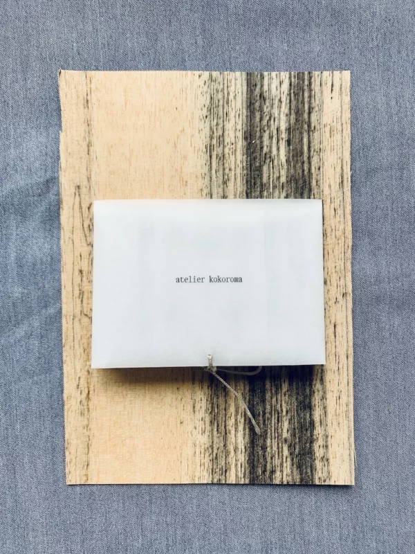 IMG_0004 copie Verso de la pochette 'La forêt de poche'