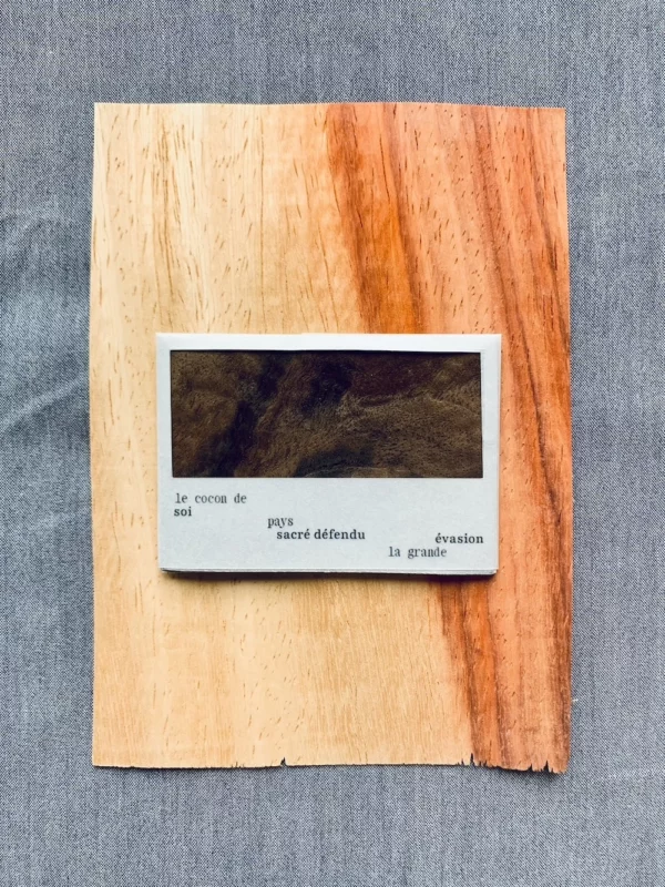 IMG_0029 copie Fragment de placage de marqueterie et haïku 'La forêt de poche'