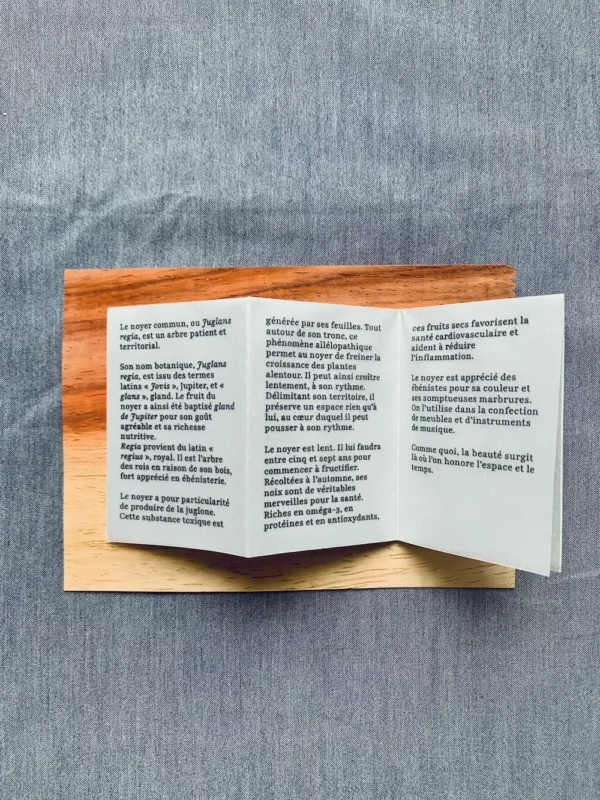 IMG_0045 copie Texte botanique 'La forêt de poche'