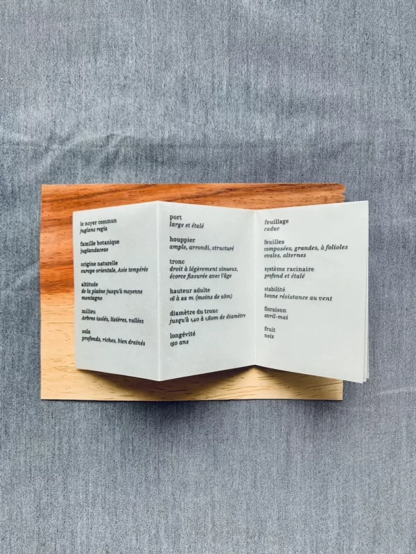 IMG_0046 copie Texte botanique 'La forêt de poche'