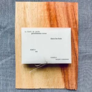 Enveloppe 'La forêt de poche'