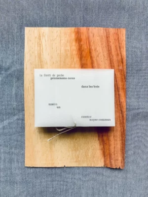 IMG_9999 copie Enveloppe 'La forêt de poche'